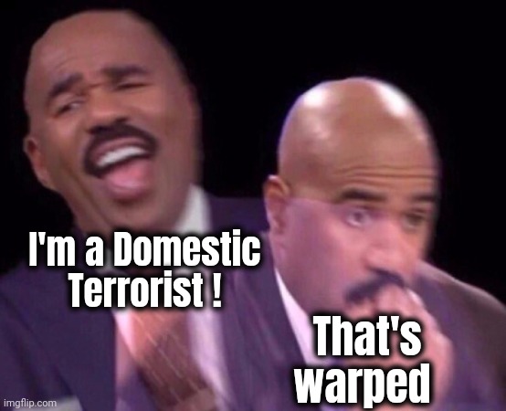 Steve Harvey Laughing Serious | I'm a Domestic Terrorist ! That's warped | image tagged in steve harvey laughing serious | made w/ Imgflip meme maker