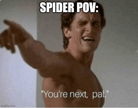 You're Next, Pal | SPIDER POV: | image tagged in you're next pal | made w/ Imgflip meme maker