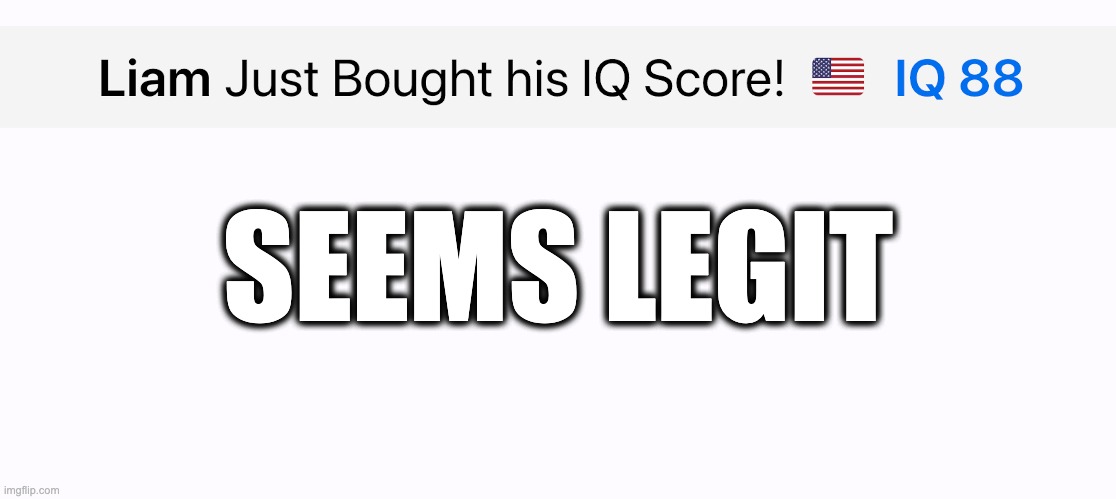 Wow, for $19.99 a month, these online IQ tests are really accurate! | SEEMS LEGIT | image tagged in dummy,iq | made w/ Imgflip meme maker