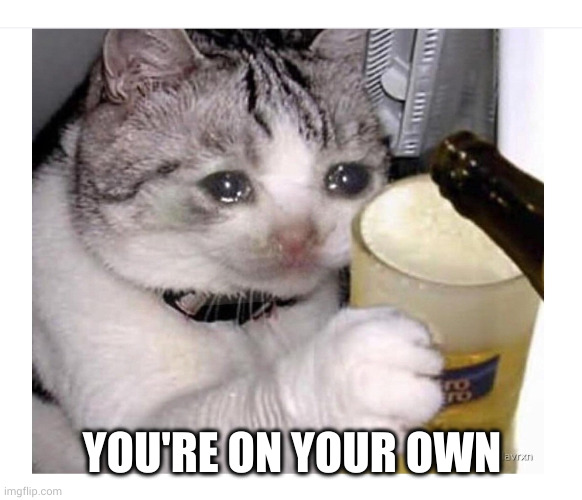 Crying Cat Drinking Beer | YOU'RE ON YOUR OWN | image tagged in crying cat drinking beer | made w/ Imgflip meme maker