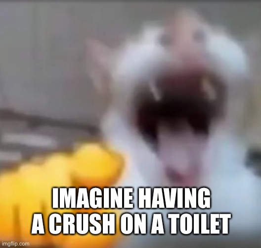 Cat pointing and laughing | IMAGINE HAVING A CRUSH ON A TOILET | image tagged in cat pointing and laughing | made w/ Imgflip meme maker