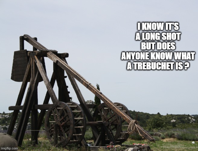 memes by Brad - trebuchet humor meme - catapult | I KNOW IT'S A LONG SHOT BUT DOES ANYONE KNOW WHAT A TREBUCHET IS ? | image tagged in funny,fun,weapons,lethal weapon,guns,humor | made w/ Imgflip meme maker