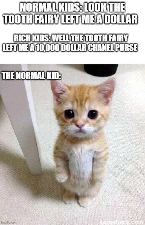 '_' Bruh | NORMAL KIDS: LOOK THE TOOTH FAIRY LEFT ME A DOLLAR; RICH KIDS: WELL THE TOOTH FAIRY LEFT ME A 10,000 DOLLAR CHANEL PURSE; THE NORMAL KID: | image tagged in memes,rich kids | made w/ Imgflip meme maker