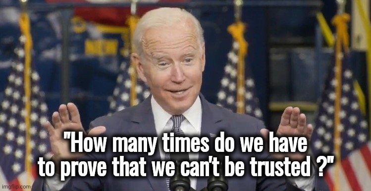 Biden accidentally tells the truth | "How many times do we have to prove that we can't be trusted ?" | image tagged in cocky joe biden,he said that,i heard it,help i accidentally,why you always lying,except now | made w/ Imgflip meme maker