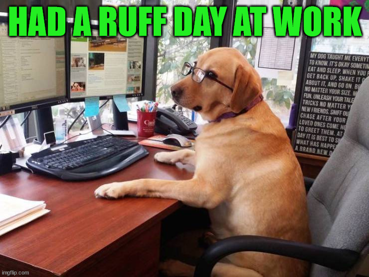 Ruff day | HAD A RUFF DAY AT WORK | image tagged in eyeroll | made w/ Imgflip meme maker