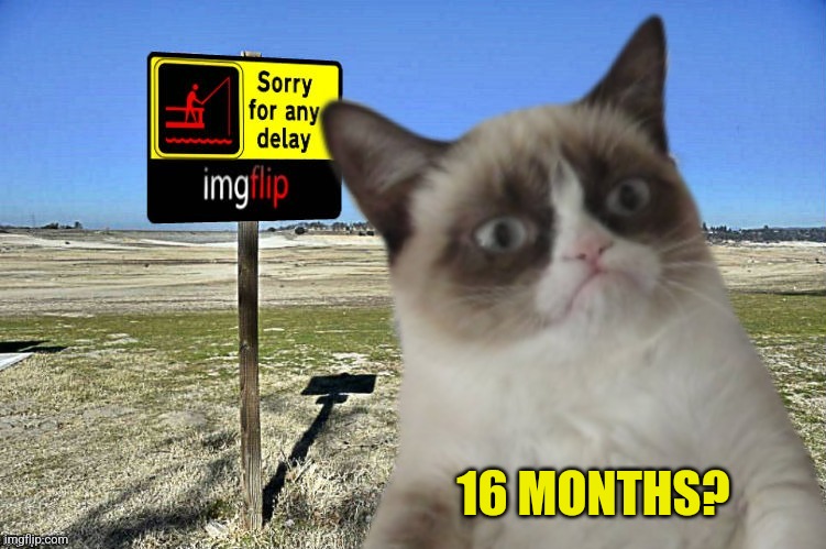 Grumpy Cat imgflip | 16 MONTHS? | image tagged in grumpy cat imgflip | made w/ Imgflip meme maker