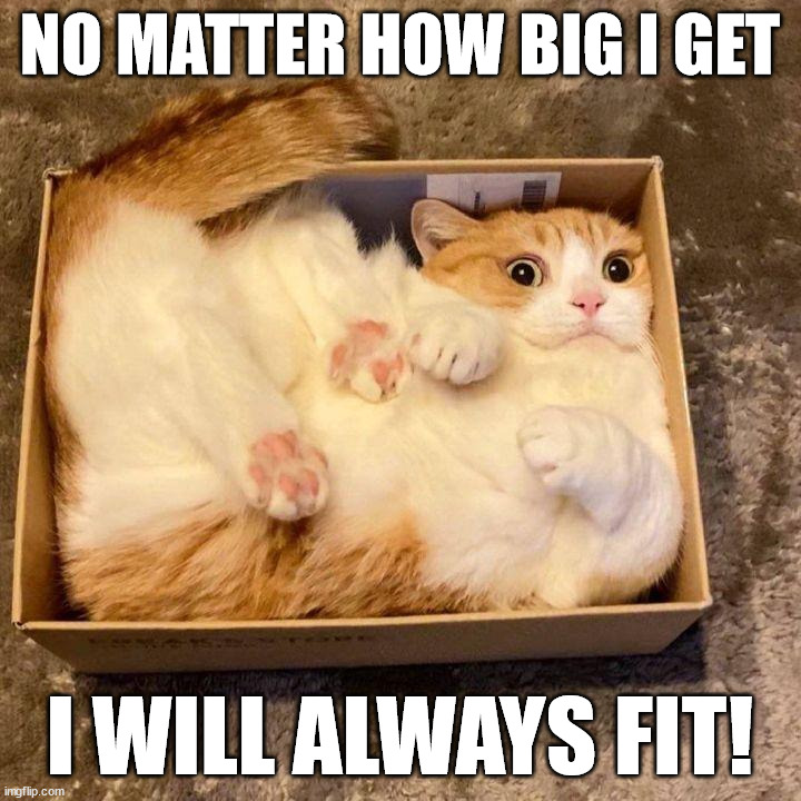 I will fit | NO MATTER HOW BIG I GET; I WILL ALWAYS FIT! | image tagged in cats | made w/ Imgflip meme maker