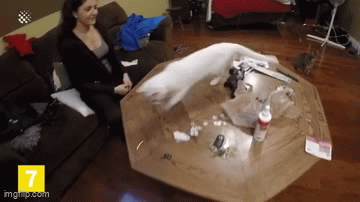 8xgjv5.gif