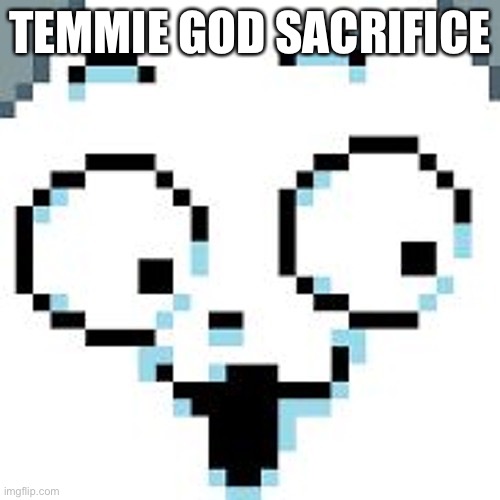 Tem god sacrifice | TEMMIE GOD SACRIFICE | image tagged in temmie | made w/ Imgflip meme maker