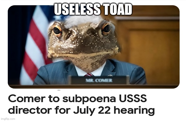 James Comer to the Rescue | USELESS TOAD | image tagged in james comer,conspiracy | made w/ Imgflip meme maker