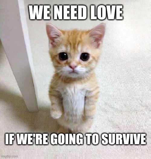 WE NEED LOVE; IF WE'RE GOING TO SURVIVE | image tagged in we need love,survival,current objective survive,love,i love you,still a better love story than twilight | made w/ Imgflip meme maker