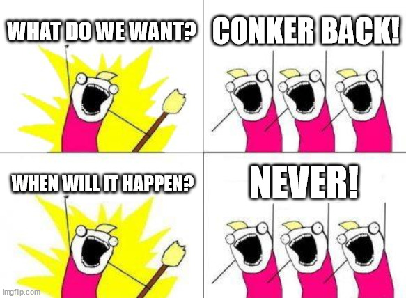 Microsoft killed Conker which is a company I want to raid | WHAT DO WE WANT? CONKER BACK! NEVER! WHEN WILL IT HAPPEN? | image tagged in memes,what do we want | made w/ Imgflip meme maker