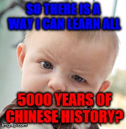 Skeptical Baby Meme | SO THERE IS A WAY I CAN LEARN ALL  5000 YEARS OF CHINESE HISTORY? | image tagged in memes,skeptical baby | made w/ Imgflip meme maker