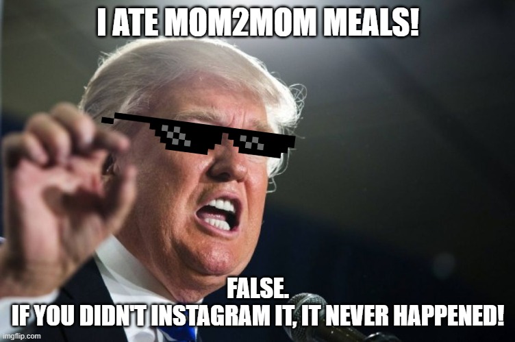 donald trump | I ATE MOM2MOM MEALS! FALSE.
IF YOU DIDN'T INSTAGRAM IT, IT NEVER HAPPENED! | image tagged in donald trump | made w/ Imgflip meme maker