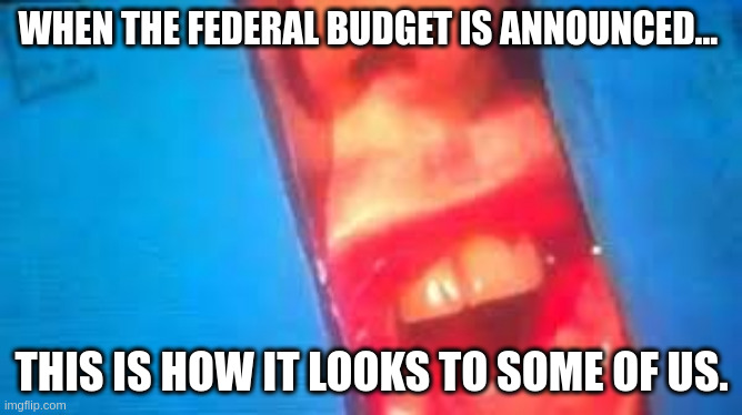 political announcement | WHEN THE FEDERAL BUDGET IS ANNOUNCED... THIS IS HOW IT LOOKS TO SOME OF US. | made w/ Imgflip meme maker