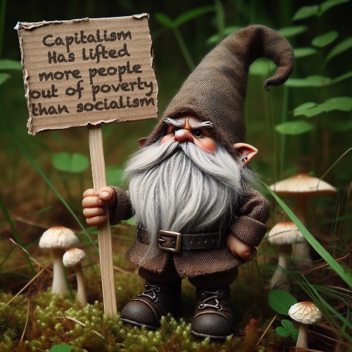 Capitalism vs socialism | Capitalism
Has lifted more people out of poverty than socialism | image tagged in gnome | made w/ Imgflip meme maker