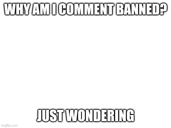 Why | WHY AM I COMMENT BANNED? JUST WONDERING | made w/ Imgflip meme maker
