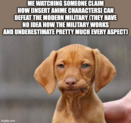 Any other weebs here who are either military nerds or in the military? | ME WATCHING SOMEONE CLAIM HOW [INSERT ANIME CHARACTERS] CAN DEFEAT THE MODERN MILITARY (THEY HAVE NO IDEA HOW THE MILITARY WORKS AND UNDERESTIMATE PRETTY MUCH EVERY ASPECT) | image tagged in dissapointed puppy | made w/ Imgflip meme maker
