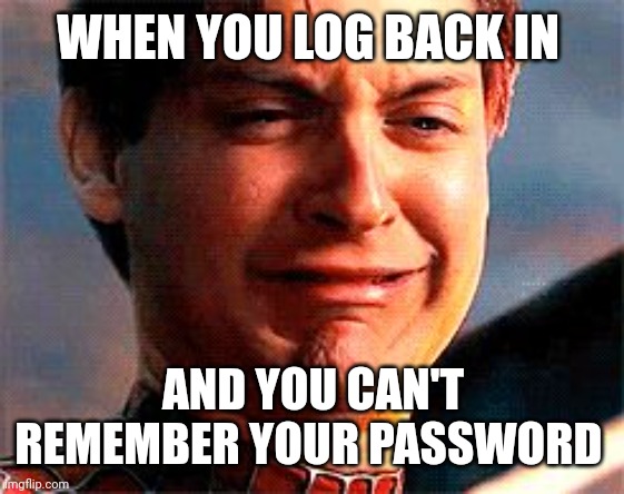 Tobey Maguire crying | WHEN YOU LOG BACK IN; AND YOU CAN'T REMEMBER YOUR PASSWORD | image tagged in tobey maguire crying,memes,passwords | made w/ Imgflip meme maker