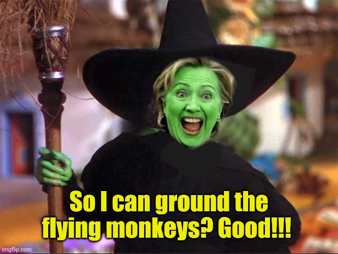 Hillary witch | So I can ground the flying monkeys? Good!!! | image tagged in hillary witch | made w/ Imgflip meme maker