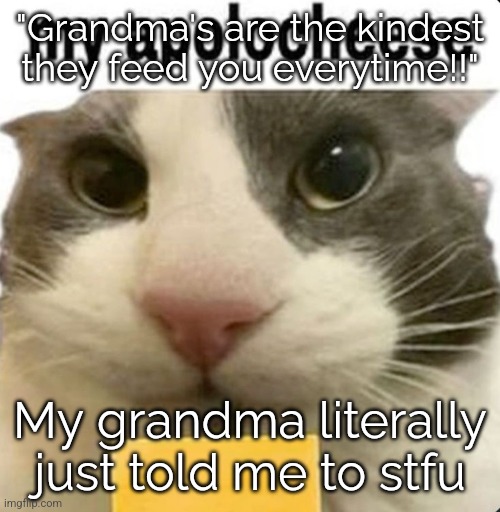 my apolocheese | "Grandma's are the kindest they feed you everytime!!"; My grandma literally just told me to stfu | image tagged in my apolocheese | made w/ Imgflip meme maker