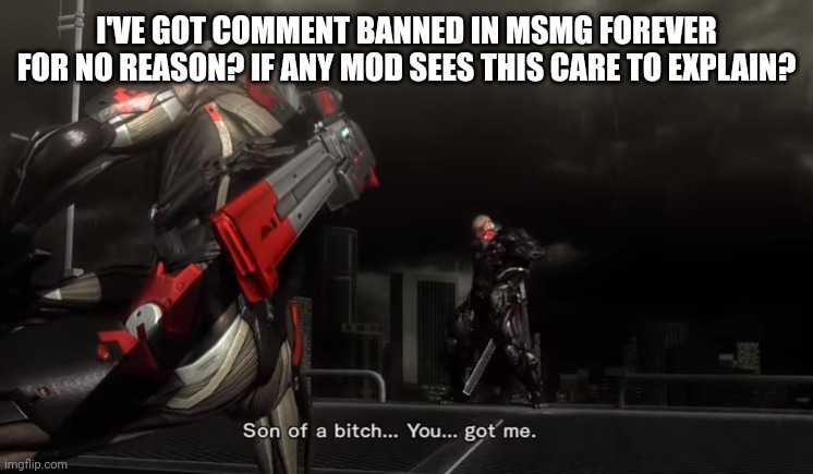 It'd be nice if someone could ask | I'VE GOT COMMENT BANNED IN MSMG FOREVER FOR NO REASON? IF ANY MOD SEES THIS CARE TO EXPLAIN? | image tagged in son of a b you got me -sundowner | made w/ Imgflip meme maker