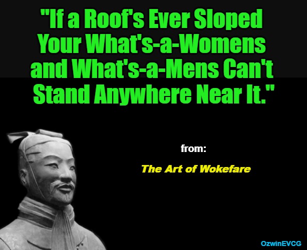 The Art of Wokefare | "If a Roof's Ever Sloped 

Your What's-a-Womens 

and What's-a-Mens Can't 

Stand Anywhere Near It."; from:; The Art of Wokefare; OzwinEVCG | image tagged in sun tzu,trump rally shooting,msm lies,deep state,woke,clown world | made w/ Imgflip meme maker