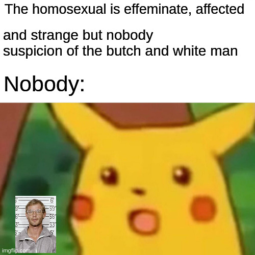 white man | The homosexual is effeminate, affected; and strange but nobody suspicion of the butch and white man; Nobody: | image tagged in memes,surprised pikachu | made w/ Imgflip meme maker