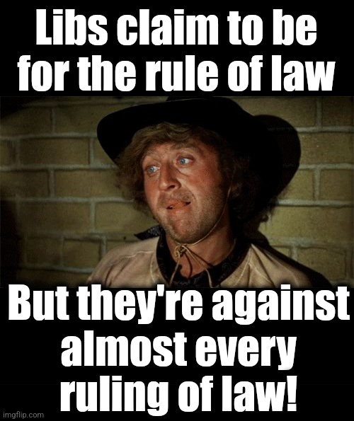 Courts aren't supposed to be subservient to the changing whims of the Party - and they can't understand that | Libs claim to be for the rule of law; But they're against
almost every
ruling of law! | image tagged in gene wilder,rule of law,memes,democrats,courts,hypocrisy | made w/ Imgflip meme maker