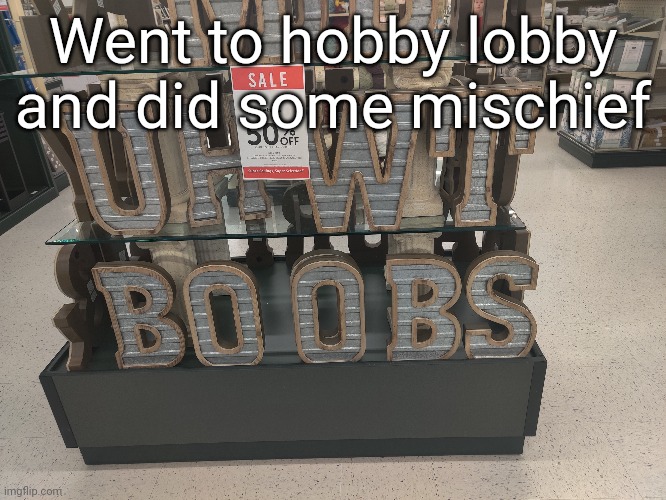 Went to hobby lobby and did some mischief | made w/ Imgflip meme maker