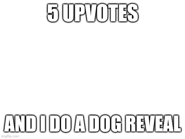 If you wanna, Upvote! | 5 UPVOTES; AND I DO A DOG REVEAL | image tagged in e | made w/ Imgflip meme maker