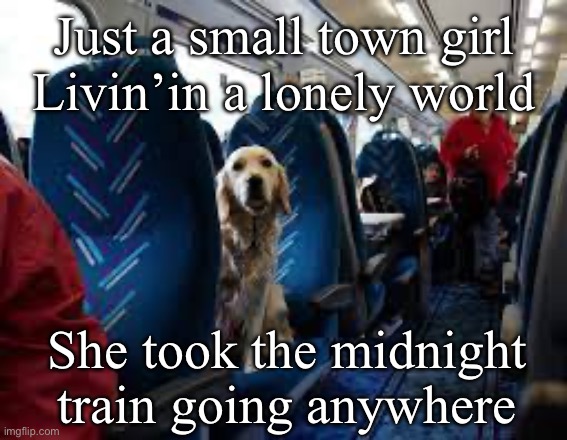 Small town girl | Just a small town girl
Livin’in a lonely world; She took the midnight train going anywhere | image tagged in small town,girl,dog,train | made w/ Imgflip meme maker