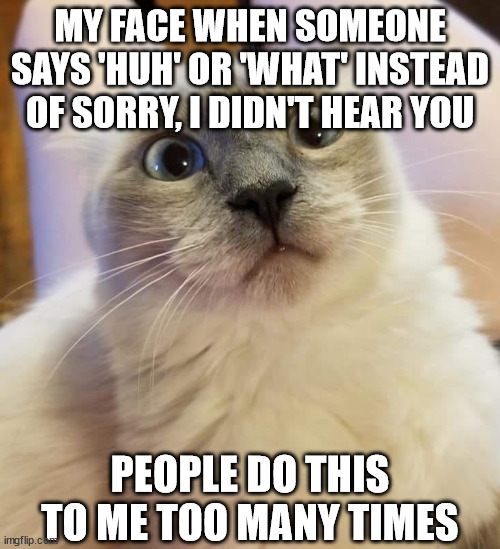 ahhhhh its not polite | MY FACE WHEN SOMEONE SAYS 'HUH' OR 'WHAT' INSTEAD OF SORRY, I DIDN'T HEAR YOU; PEOPLE DO THIS TO ME TOO MANY TIMES | image tagged in surpised kitteh | made w/ Imgflip meme maker