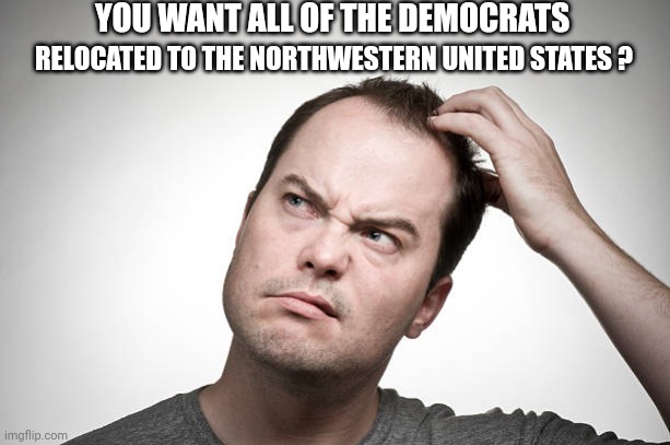 confused | YOU WANT ALL OF THE DEMOCRATS RELOCATED TO THE NORTHWESTERN UNITED STATES ? | image tagged in confused | made w/ Imgflip meme maker