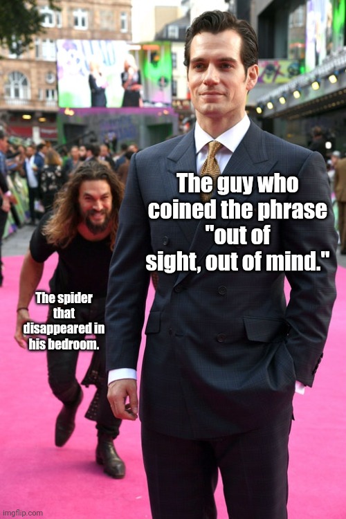 Oh no. I lost him. | The guy who coined the phrase "out of sight, out of mind."; The spider that disappeared in his bedroom. | image tagged in jason momoa henry cavill meme | made w/ Imgflip meme maker