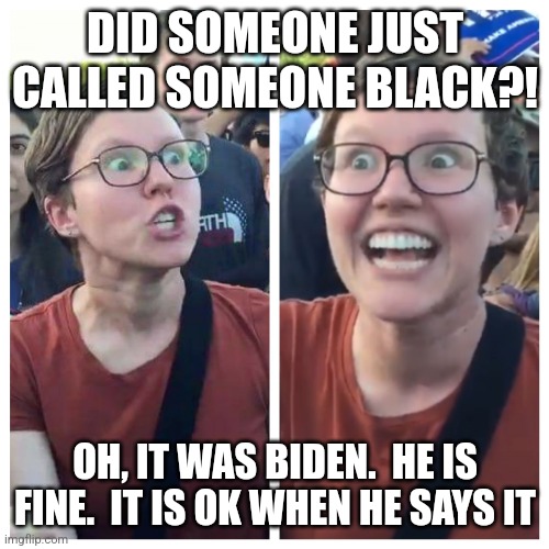Hypocrite liberal | DID SOMEONE JUST CALLED SOMEONE BLACK?! OH, IT WAS BIDEN.  HE IS FINE.  IT IS OK WHEN HE SAYS IT | image tagged in hypocrite liberal | made w/ Imgflip meme maker