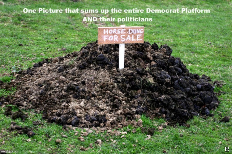 Democrats and their platform | image tagged in democrats | made w/ Imgflip meme maker