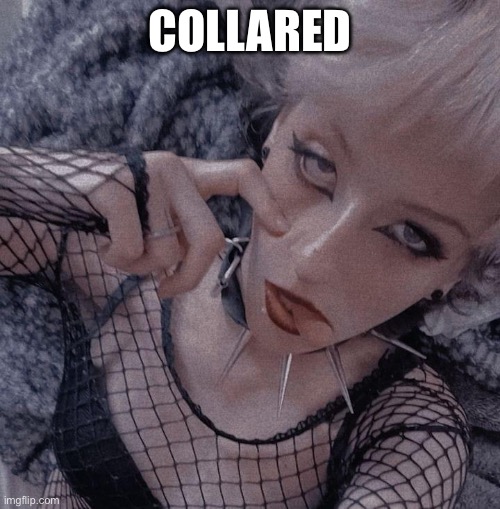 COLLARED | image tagged in collar,collage | made w/ Imgflip meme maker