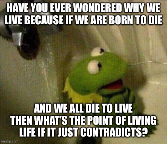 kermit crying terrified in shower | HAVE YOU EVER WONDERED WHY WE LIVE BECAUSE IF WE ARE BORN TO DIE; AND WE ALL DIE TO LIVE THEN WHAT’S THE POINT OF LIVING LIFE IF IT JUST CONTRADICTS? | image tagged in kermit crying terrified in shower | made w/ Imgflip meme maker