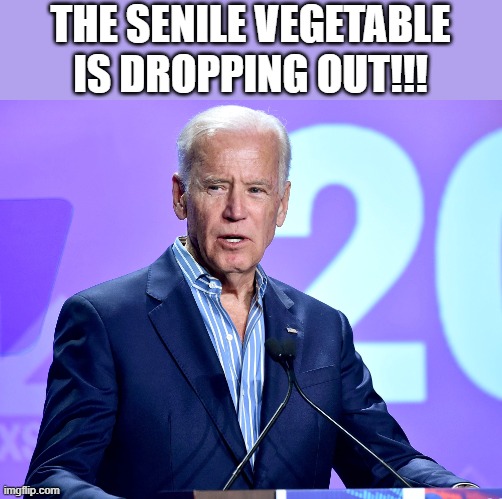 Who will they replace him with!! LOL | THE SENILE VEGETABLE IS DROPPING OUT!!! | image tagged in joe biden speech,democrats,joe biden | made w/ Imgflip meme maker