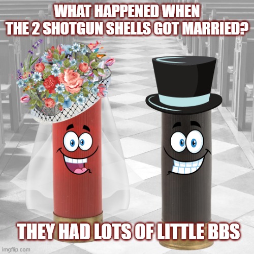 2nd Amendment | WHAT HAPPENED WHEN
THE 2 SHOTGUN SHELLS GOT MARRIED? THEY HAD LOTS OF LITTLE BBS | image tagged in guns,gun rights,shotgun,joke,humor | made w/ Imgflip meme maker