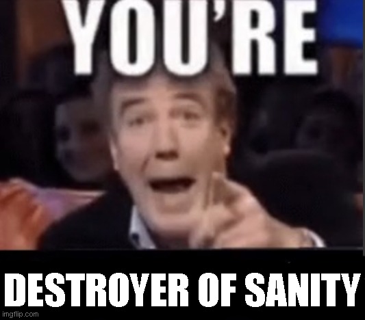 You're X (Blank) | DESTROYER OF SANITY | image tagged in you're x blank | made w/ Imgflip meme maker