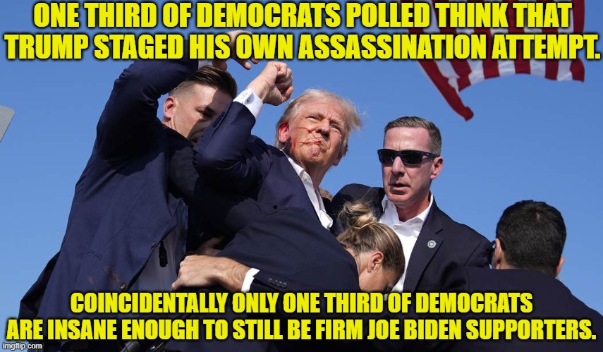 Yelp . . . those are convincing statistics. | ONE THIRD OF DEMOCRATS POLLED THINK THAT TRUMP STAGED HIS OWN ASSASSINATION ATTEMPT. COINCIDENTALLY ONLY ONE THIRD OF DEMOCRATS ARE INSANE ENOUGH TO STILL BE FIRM JOE BIDEN SUPPORTERS. | image tagged in yep | made w/ Imgflip meme maker