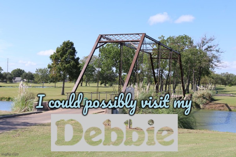 I am going out of town to see Debbie | I could possibly visit my | image tagged in texas,80s,80s music,nintendo,90s,nostalgia | made w/ Imgflip meme maker