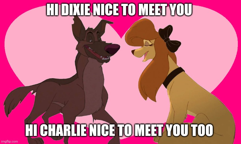 Charlie Meets Dixie | HI DIXIE NICE TO MEET YOU; HI CHARLIE NICE TO MEET YOU TOO | image tagged in charlie meets dixie,dixie | made w/ Imgflip meme maker