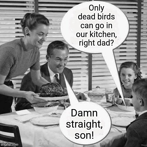 Vintage Family Dinner | Only dead birds can go in our kitchen, right dad? Damn straight, son! | image tagged in vintage family dinner | made w/ Imgflip meme maker