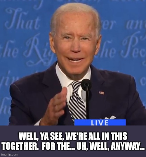 Biden 2020 debate | WELL, YA SEE, WE'RE ALL IN THIS TOGETHER.  FOR THE... UH, WELL, ANYWAY... | image tagged in biden 2020 debate | made w/ Imgflip meme maker