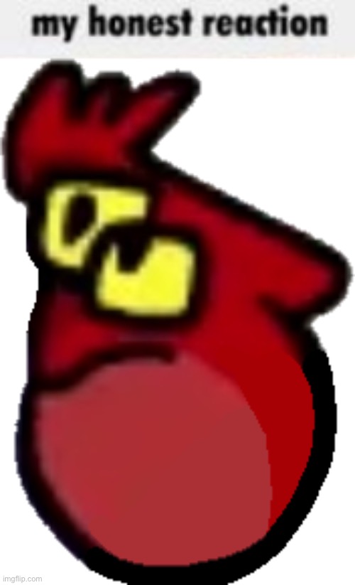 why he goof | image tagged in my honest reaction | made w/ Imgflip meme maker
