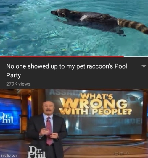 WHY? | image tagged in dr phil what's wrong with people,dr phil | made w/ Imgflip meme maker