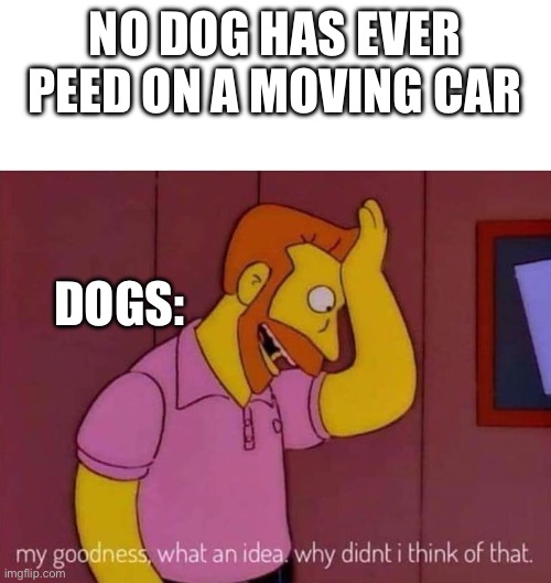 dogs | NO DOG HAS EVER PEED ON A MOVING CAR; DOGS: | image tagged in my goodness what an idea why didn't i think of that | made w/ Imgflip meme maker